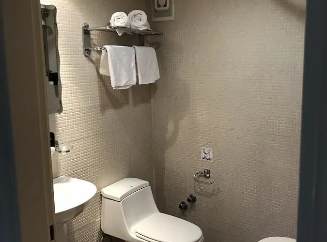 雅尼斯开普敦公寓 公寓式酒店 科斯镇